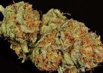 Illinois Is Likely To Be The Next State To Allow Medical Marijuana Use