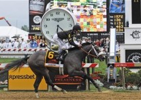 Oxbow Upsets Orb In Preakness
